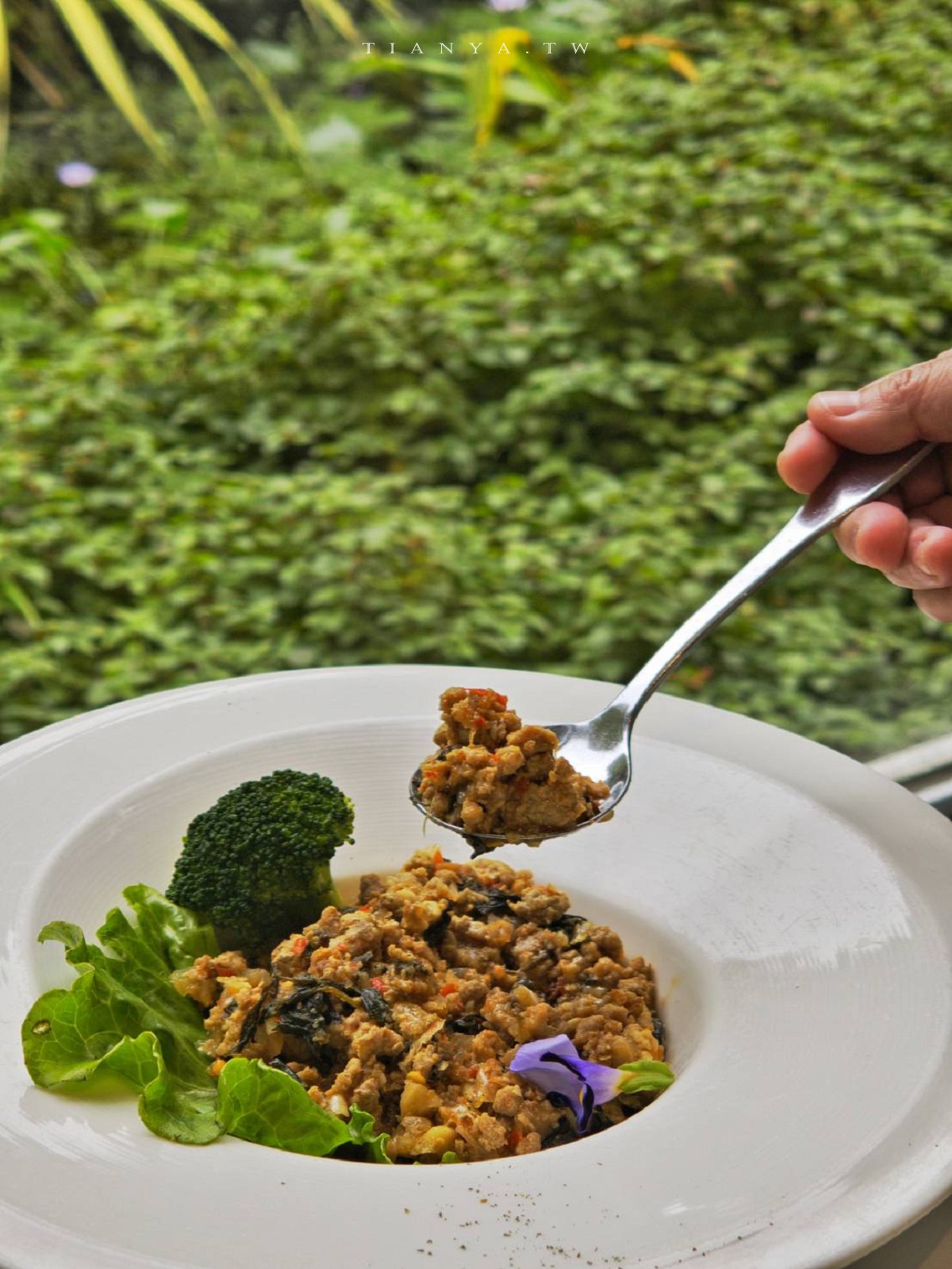 【菁芳園】隱身小巷裡的落羽松景觀餐廳，在溫室玻璃屋享用美味的手做健康料理