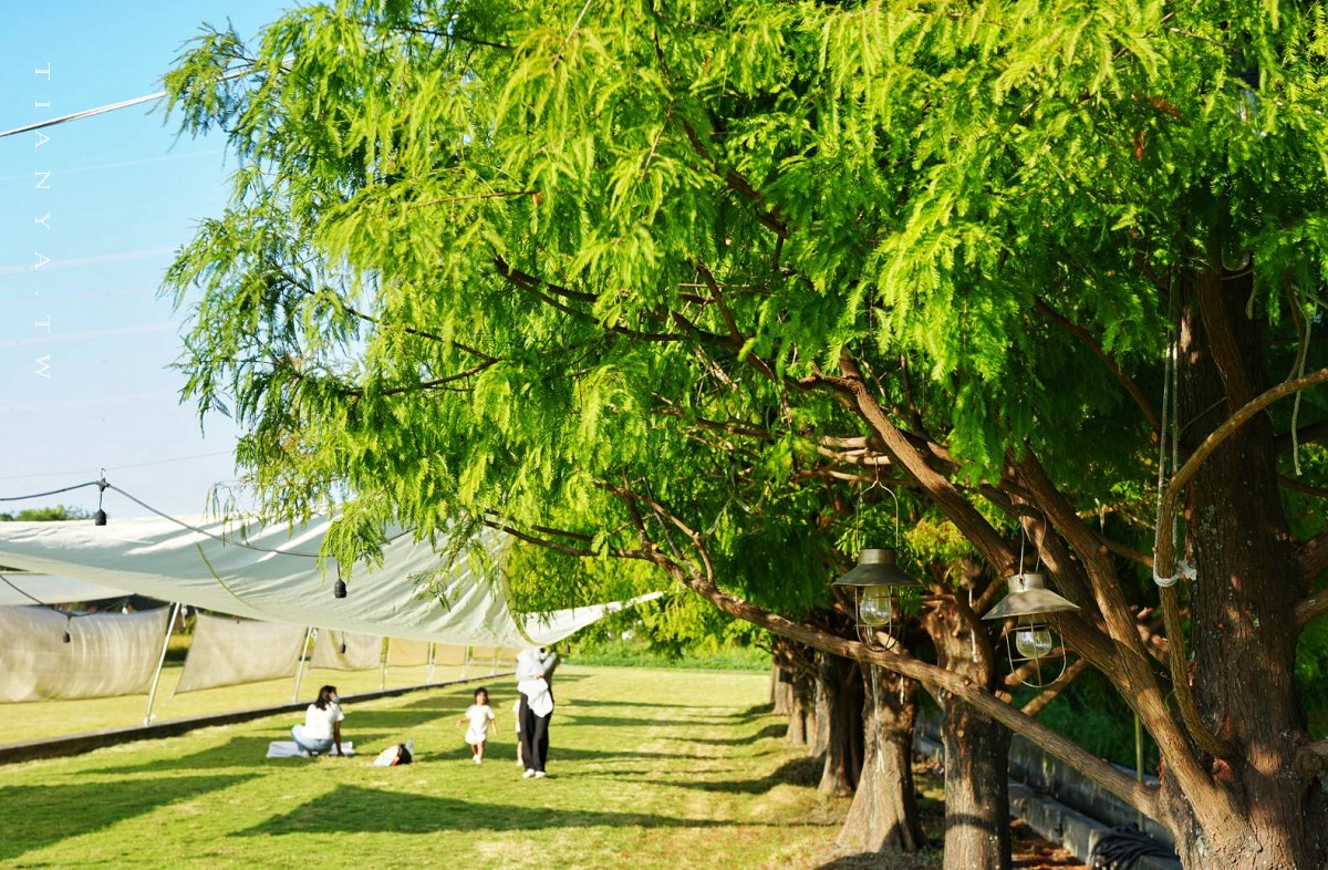 【小田生活mmm】點一杯飲料不限時享受在落羽松草原野餐的愜意時光