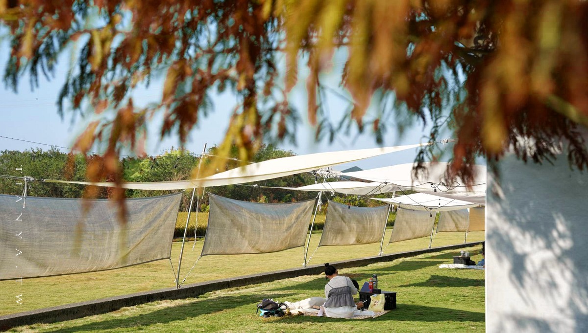 盤點彰化4處絕美落羽松打卡熱點，日式庭園、森林玻璃屋、恐龍主題樂園、野餐系咖啡一把收