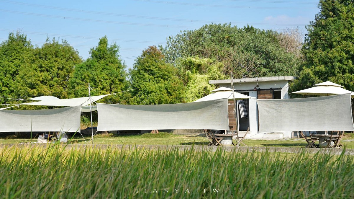 【小田生活mmm】點一杯飲料不限時享受在落羽松草原野餐的愜意時光