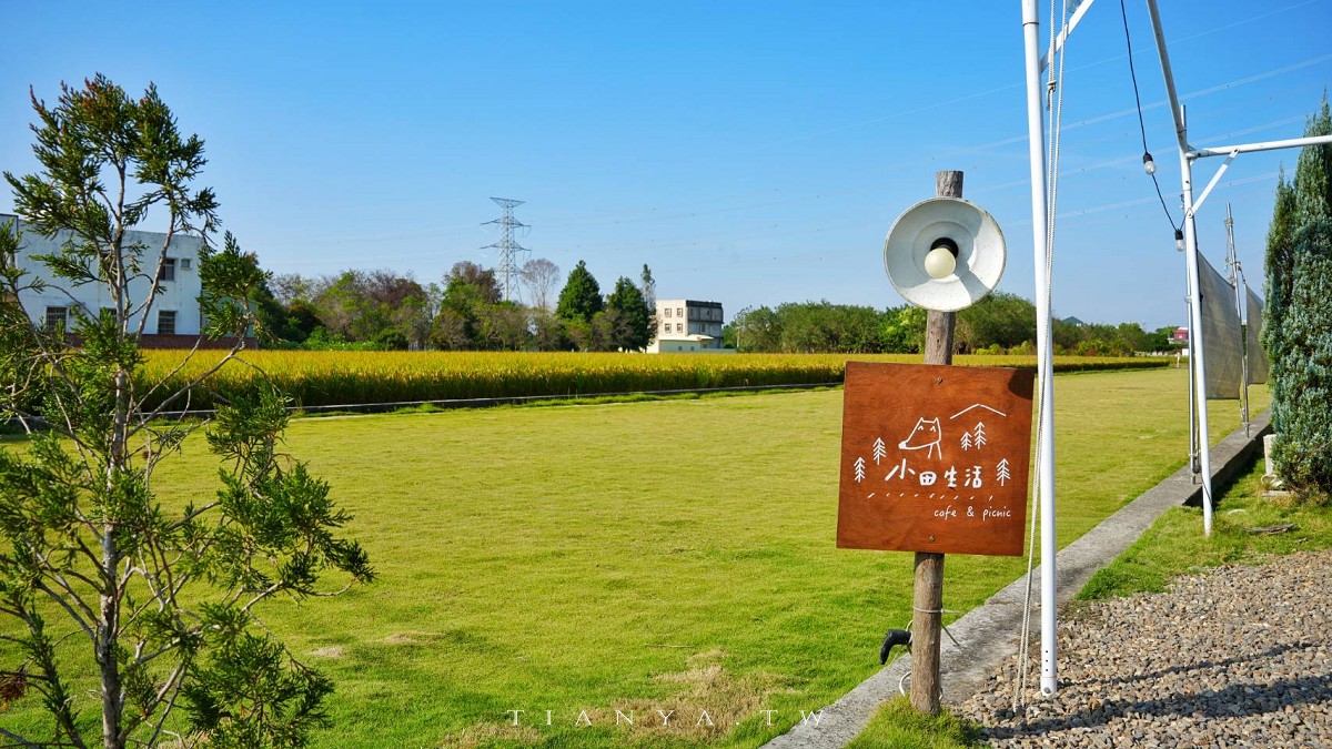 【小田生活mmm】點一杯飲料不限時享受在落羽松草原野餐的愜意時光