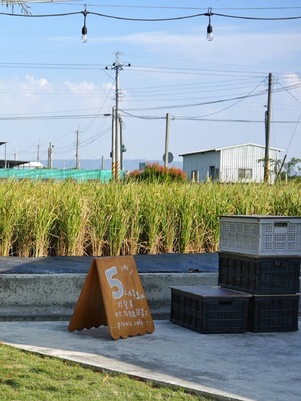 【小田生活mmm】點一杯飲料不限時享受在落羽松草原野餐的愜意時光