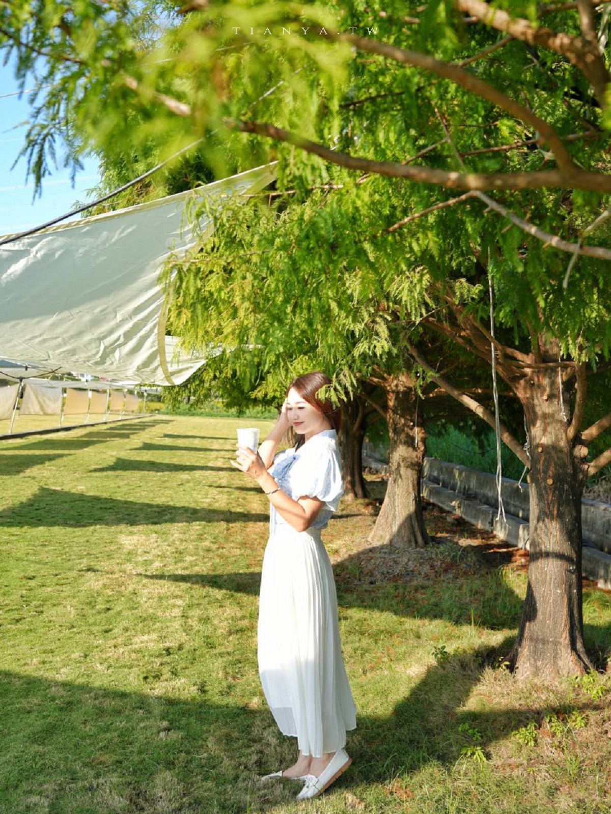 【小田生活mmm】點一杯飲料不限時享受在落羽松草原野餐的愜意時光