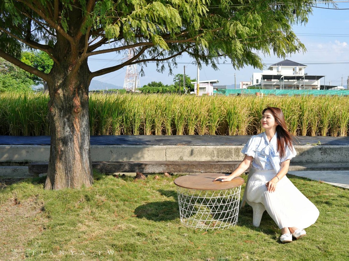 【小田生活mmm】點一杯飲料不限時享受在落羽松草原野餐的愜意時光