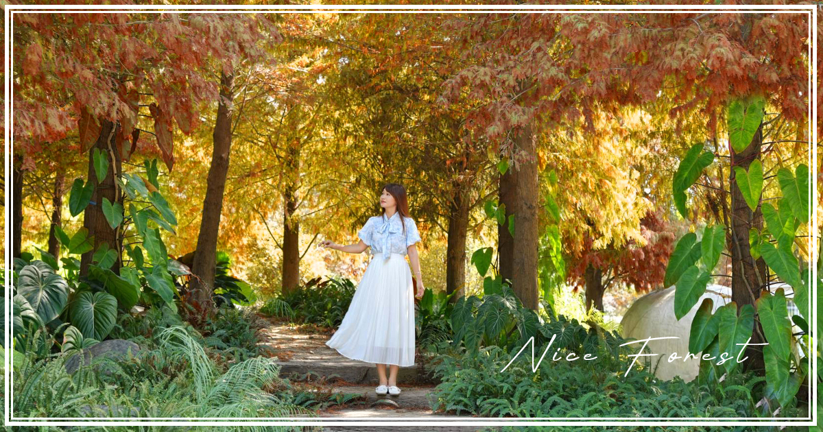 延伸閱讀:【好田森林】超夯親子景點!到恐龍森林體驗滑草場、沙坑、空中卡丁車,還能賞冬季最美落羽松 延伸閱讀:【好田森林】超夯親子景點!到恐龍森林體驗滑草場、沙坑、空中卡丁車,還能賞冬季最美落羽松