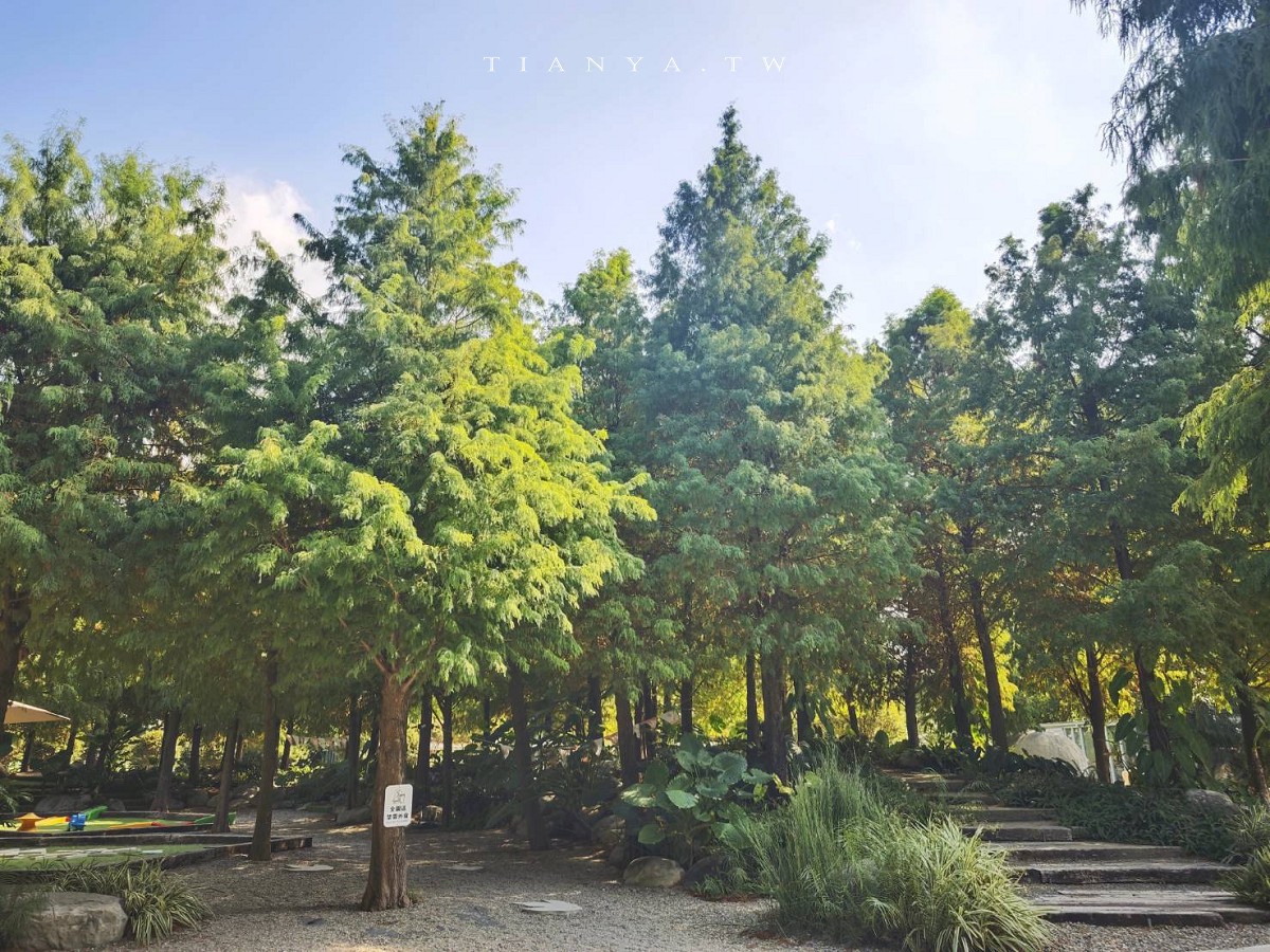 【好田森林】超夯親子景點!到恐龍森林體驗滑草場、沙坑、空中卡丁車,還能賞冬季最美落羽松 【好田森林】超夯親子景點!到恐龍森林體驗滑草場、沙坑、空中卡丁車,還能賞冬季最美落羽松