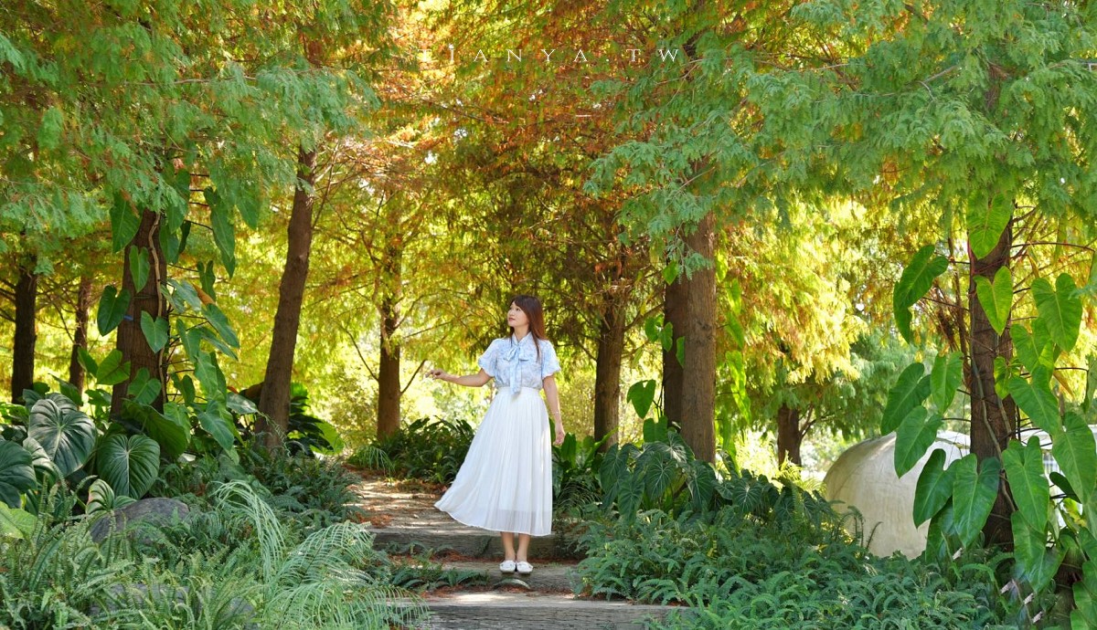 【好田森林】超夯親子景點!到恐龍森林體驗滑草場、沙坑、空中卡丁車,還能賞冬季最美落羽松 【好田森林】超夯親子景點!到恐龍森林體驗滑草場、沙坑、空中卡丁車,還能賞冬季最美落羽松