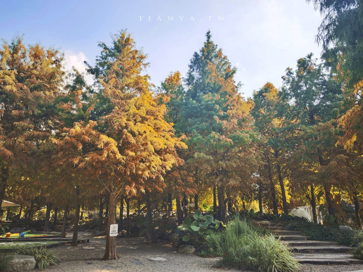 【好田森林】超夯親子景點！到恐龍森林體驗滑草場、沙坑、空中卡丁車，還能賞冬季最美落羽松