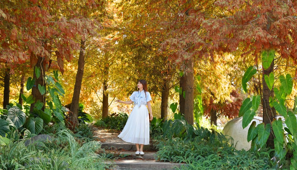 【好田森林】超夯親子景點!到恐龍森林體驗滑草場、沙坑、空中卡丁車,還能賞冬季最美落羽松 【好田森林】超夯親子景點!到恐龍森林體驗滑草場、沙坑、空中卡丁車,還能賞冬季最美落羽松