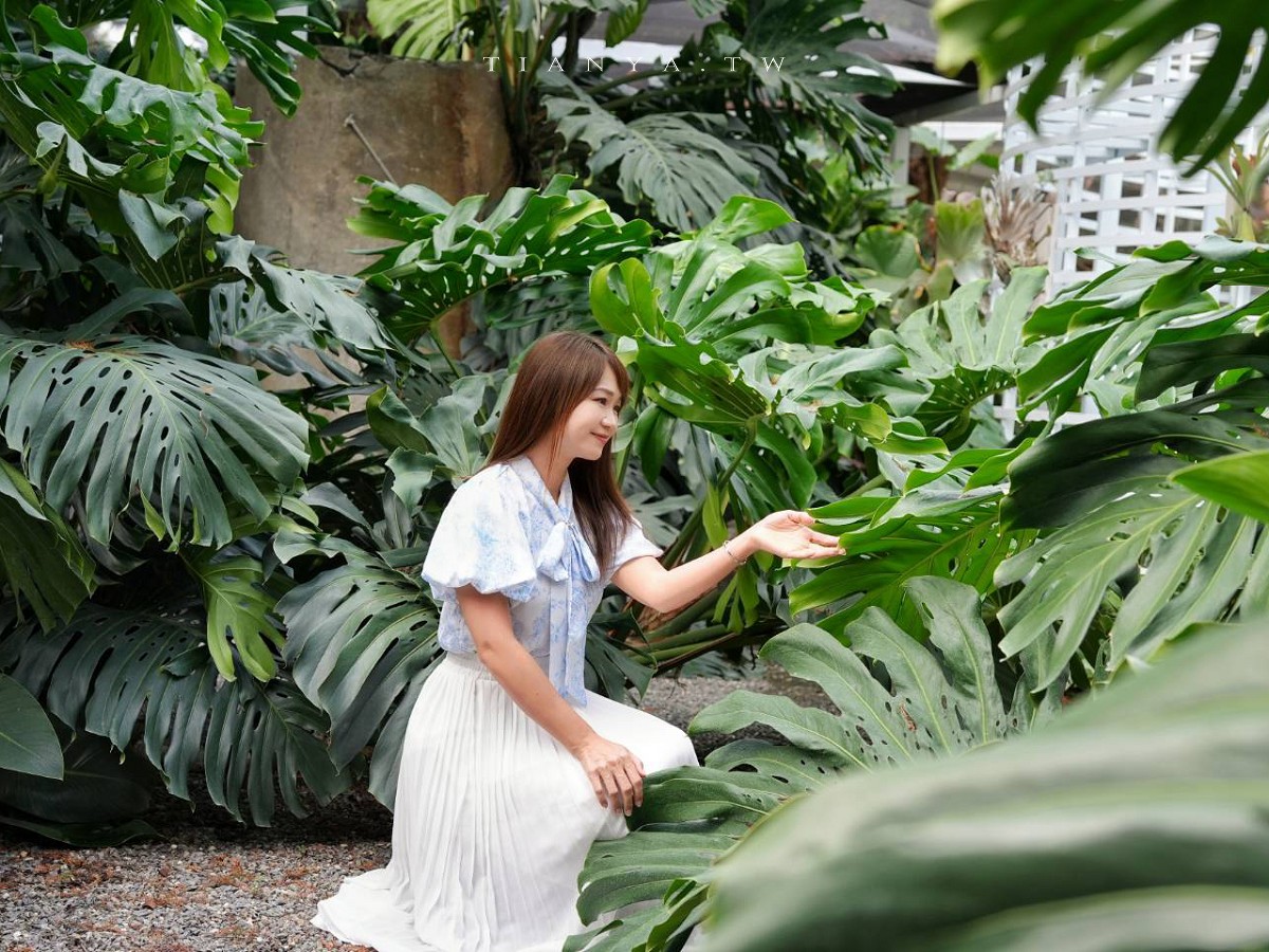 【好田森林】超夯親子景點!到恐龍森林體驗滑草場、沙坑、空中卡丁車,還能賞冬季最美落羽松 【好田森林】超夯親子景點!到恐龍森林體驗滑草場、沙坑、空中卡丁車,還能賞冬季最美落羽松