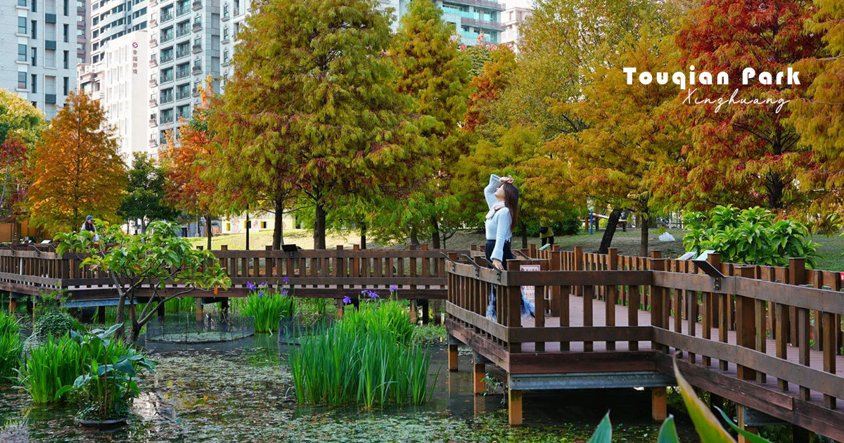 今日熱門文章：【頭前運動公園】新莊最美森林系公園，落羽松生態池木棧道唯美至極，出捷運就抵達