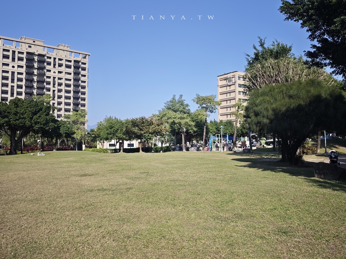 【頭前運動公園】新莊最美森林系公園，落羽松生態池木棧道唯美至極，出捷運就抵達