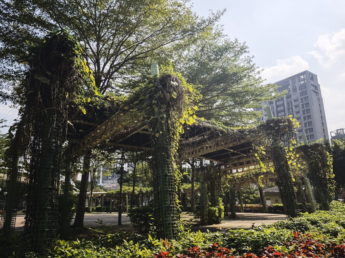 【頭前運動公園】新莊最美森林系公園，落羽松生態池木棧道唯美至極，出捷運就抵達