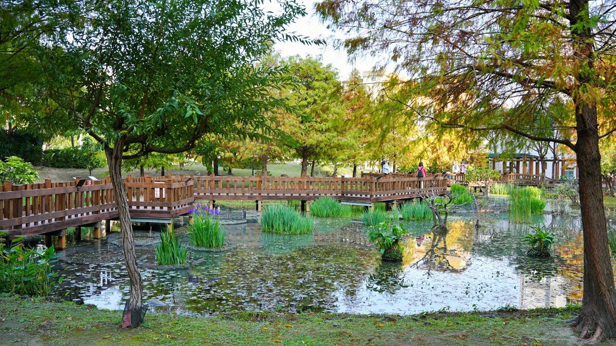 【頭前運動公園】新莊最美森林系公園，落羽松生態池木棧道唯美至極，出捷運就抵達