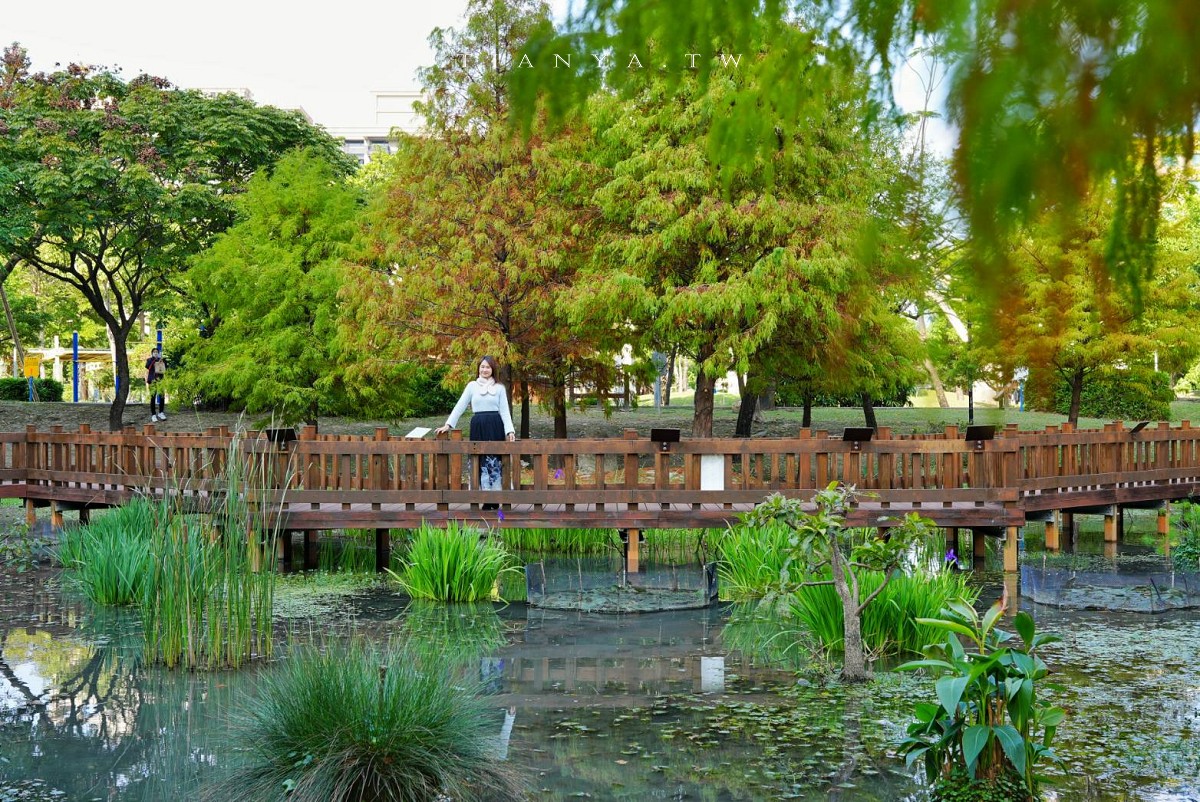 【頭前運動公園】新莊最美森林系公園，落羽松生態池木棧道唯美至極，出捷運就抵達