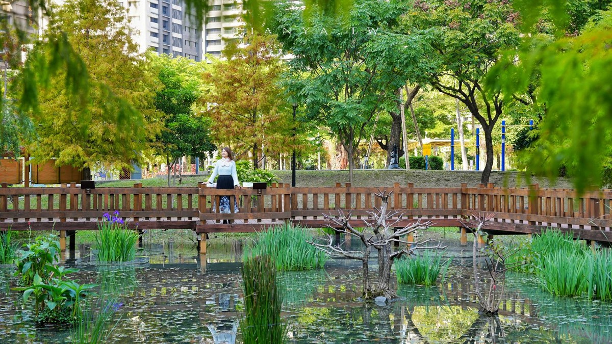 【頭前運動公園】新莊最美森林系公園，落羽松生態池木棧道唯美至極，出捷運就抵達