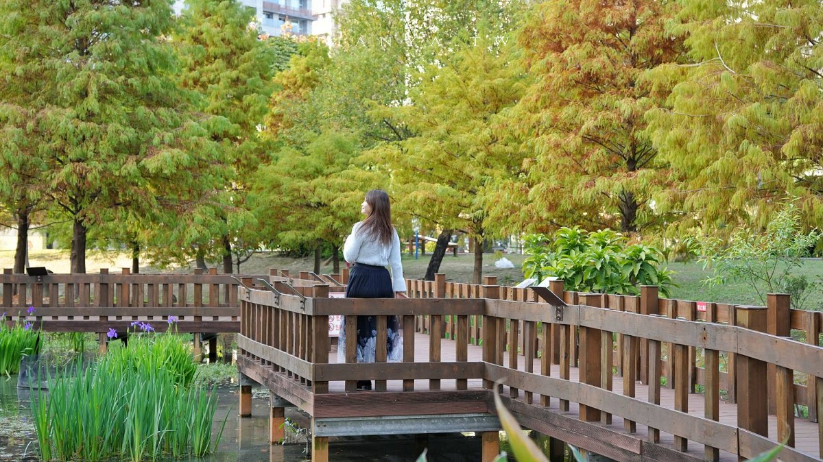 【頭前運動公園】新莊最美森林系公園，落羽松生態池木棧道唯美至極，出捷運就抵達
