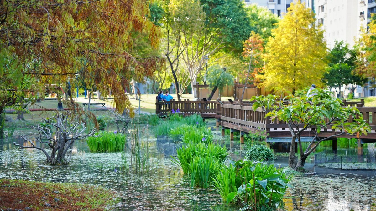 【頭前運動公園】新莊最美森林系公園，落羽松生態池木棧道唯美至極，出捷運就抵達