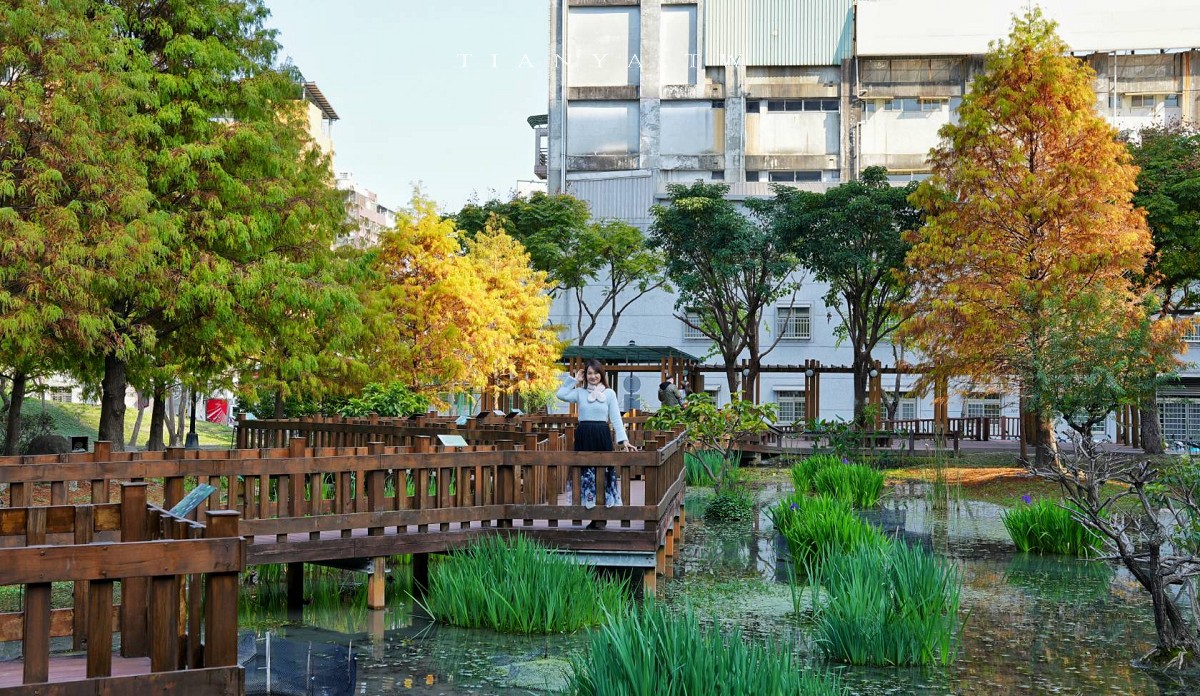 【頭前運動公園】新莊最美森林系公園，落羽松生態池木棧道唯美至極，出捷運就抵達