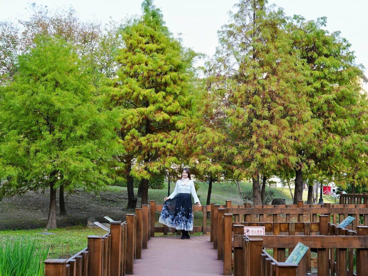 【頭前運動公園】新莊最美森林系公園，落羽松生態池木棧道唯美至極，出捷運就抵達