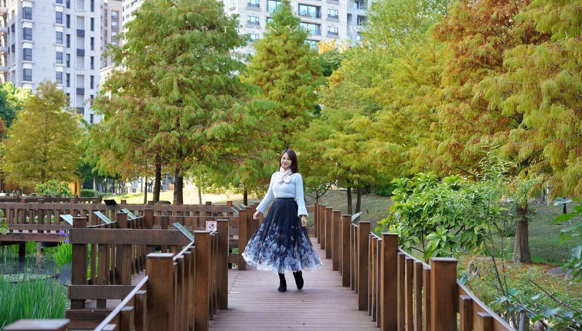 【頭前運動公園】新莊最美森林系公園，落羽松生態池木棧道唯美至極，出捷運就抵達