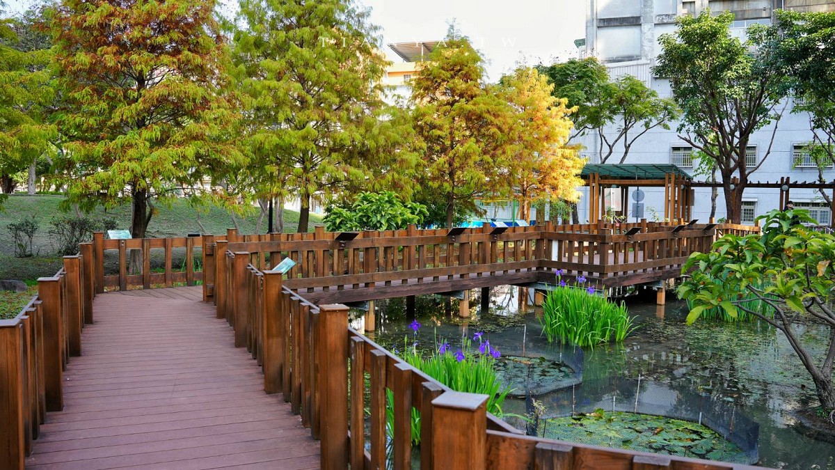 【頭前運動公園】新莊最美森林系公園，落羽松生態池木棧道唯美至極，出捷運就抵達