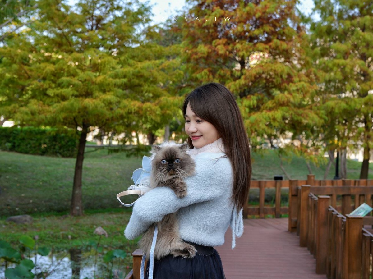 【頭前運動公園】新莊最美森林系公園，落羽松生態池木棧道唯美至極，出捷運就抵達