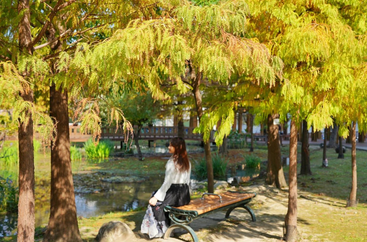 【頭前運動公園】新莊最美森林系公園，落羽松生態池木棧道唯美至極，出捷運就抵達