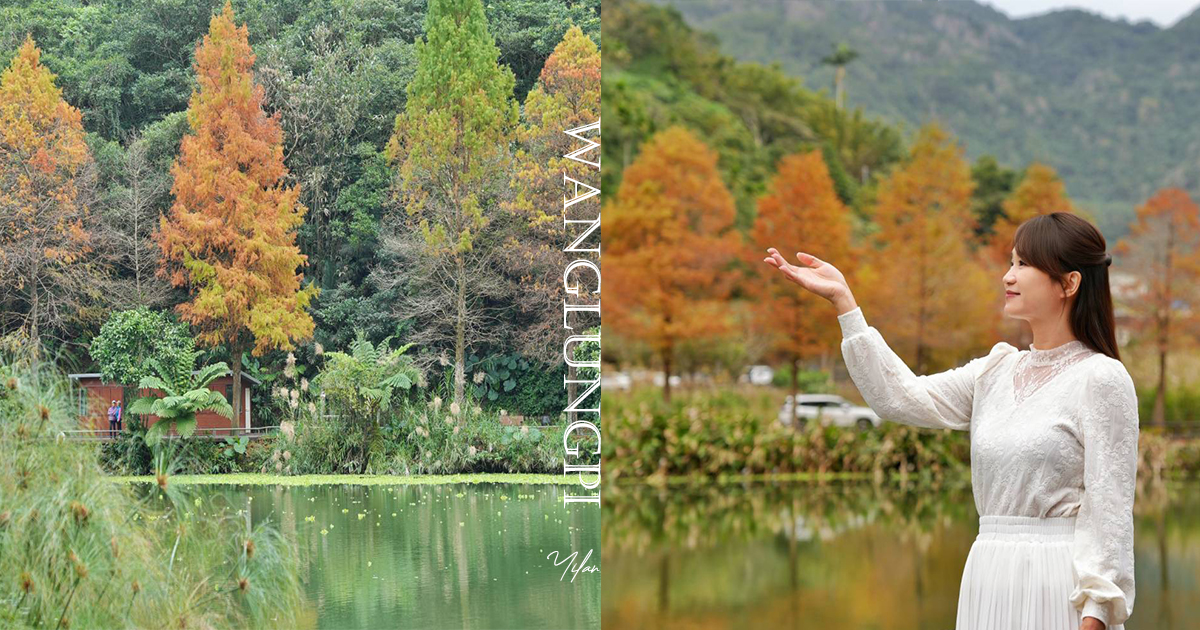 延伸閱讀:【望龍埤】抱擁湖光山色的落羽松秘境,環湖步道、環山步道、九曲橋串聯起最佳賞景路線 延伸閱讀:【望龍埤】抱擁湖光山色的落羽松秘境,環湖步道、環山步道、九曲橋串聯起最佳賞景路線