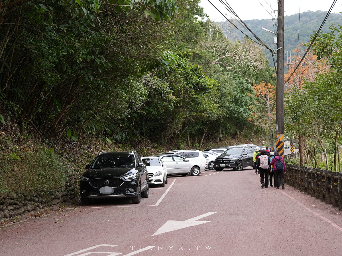 【望龍埤】抱擁湖光山色的落羽松秘境,環湖步道、環山步道、九曲橋串聯起最佳賞景路線 【望龍埤】抱擁湖光山色的落羽松秘境,環湖步道、環山步道、九曲橋串聯起最佳賞景路線