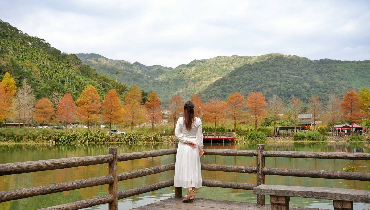 【望龍埤】抱擁湖光山色的落羽松秘境,環湖步道、環山步道、九曲橋串聯起最佳賞景路線 【望龍埤】抱擁湖光山色的落羽松秘境,環湖步道、環山步道、九曲橋串聯起最佳賞景路線
