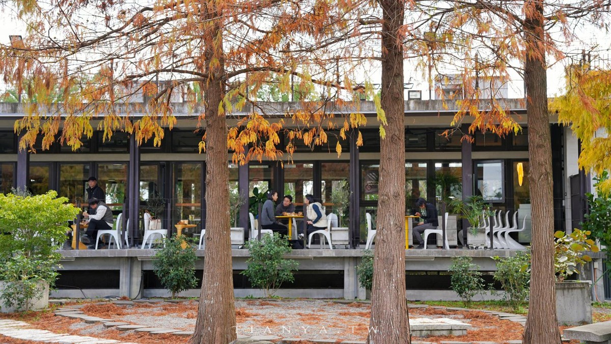 【What’s Up Dough？花莎豆米貝果】獨家風味外脆內軟米貝果，庭院隱藏落羽松秘境景觀