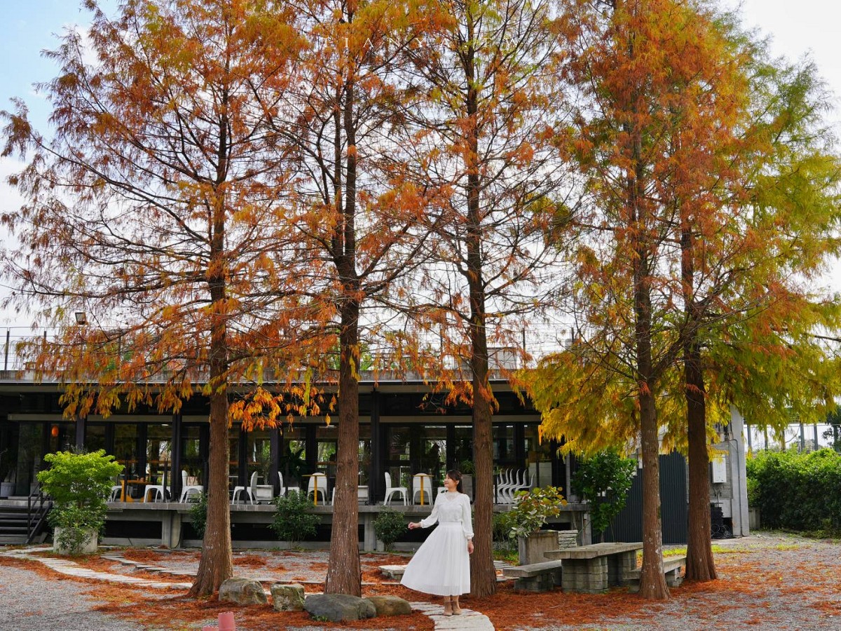 【What’s Up Dough？花莎豆米貝果】獨家風味外脆內軟米貝果，庭院隱藏落羽松秘境景觀