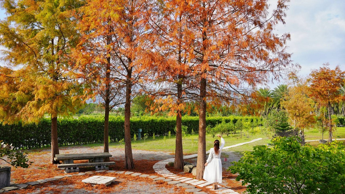 【What’s Up Dough？花莎豆米貝果】獨家風味外脆內軟米貝果，庭院隱藏落羽松秘境景觀