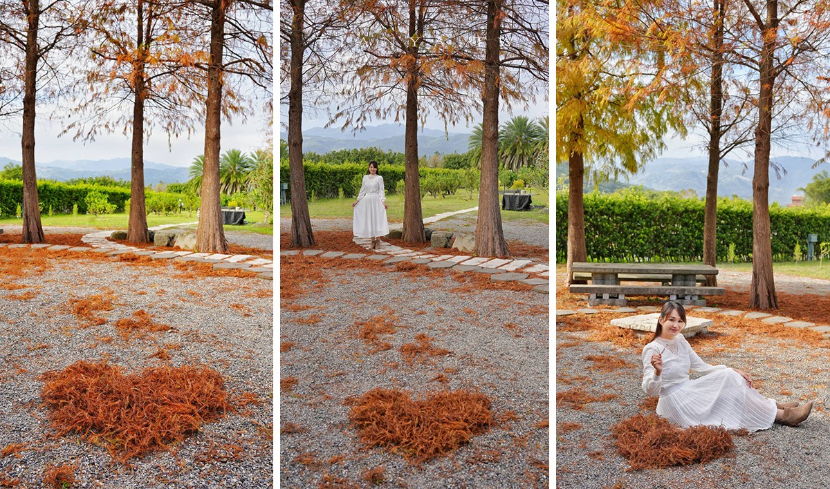 【What’s Up Dough？花莎豆米貝果】獨家風味外脆內軟米貝果，庭院隱藏落羽松秘境景觀