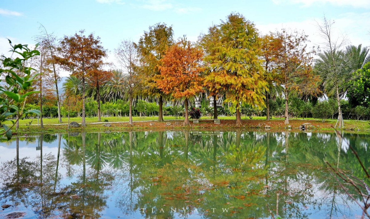 【What’s Up Dough？花莎豆米貝果】獨家風味外脆內軟米貝果，庭院隱藏落羽松秘境景觀
