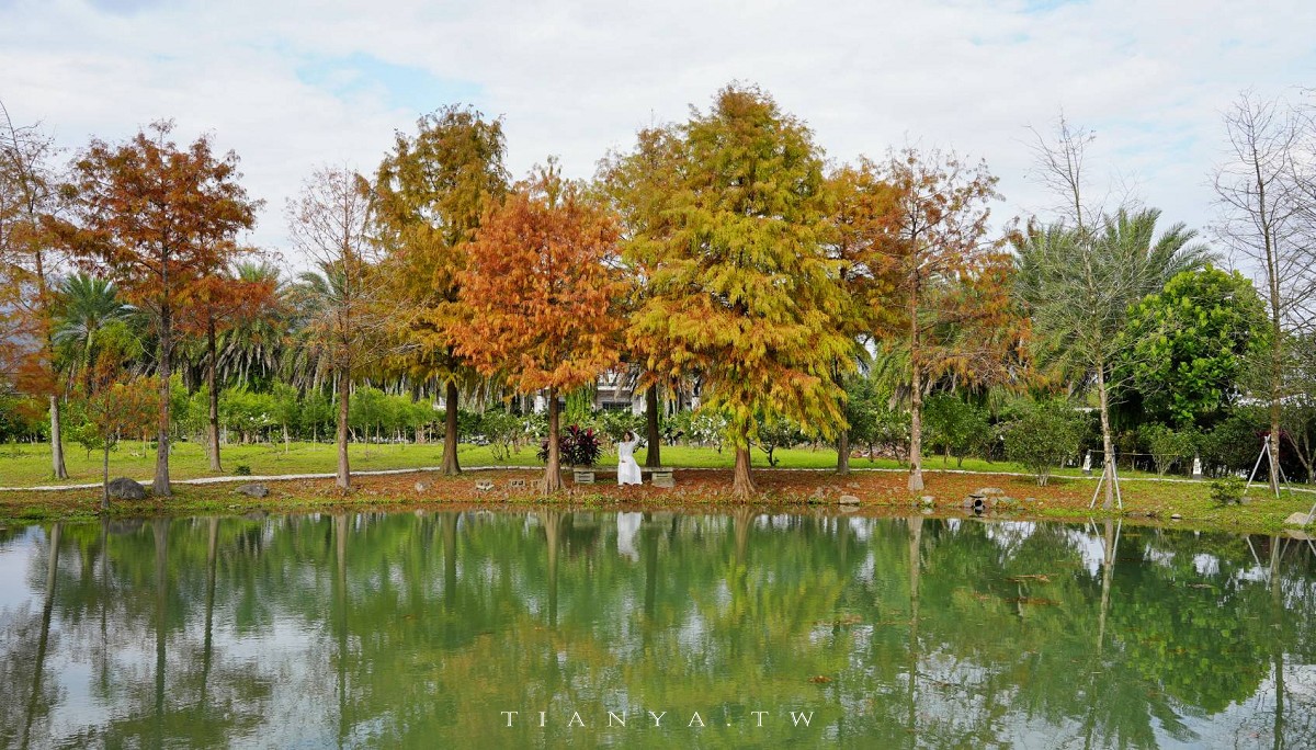 【What’s Up Dough？花莎豆米貝果】獨家風味外脆內軟米貝果，庭院隱藏落羽松秘境景觀
