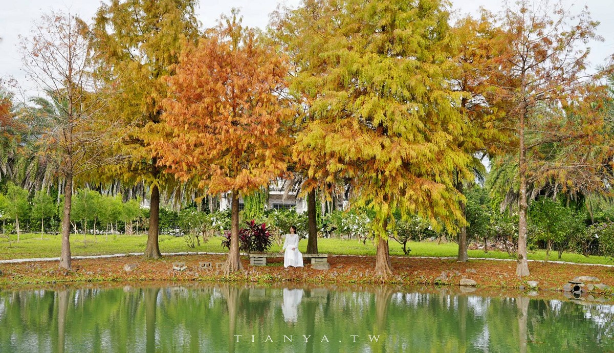 【What’s Up Dough？花莎豆米貝果】獨家風味外脆內軟米貝果，庭院隱藏落羽松秘境景觀