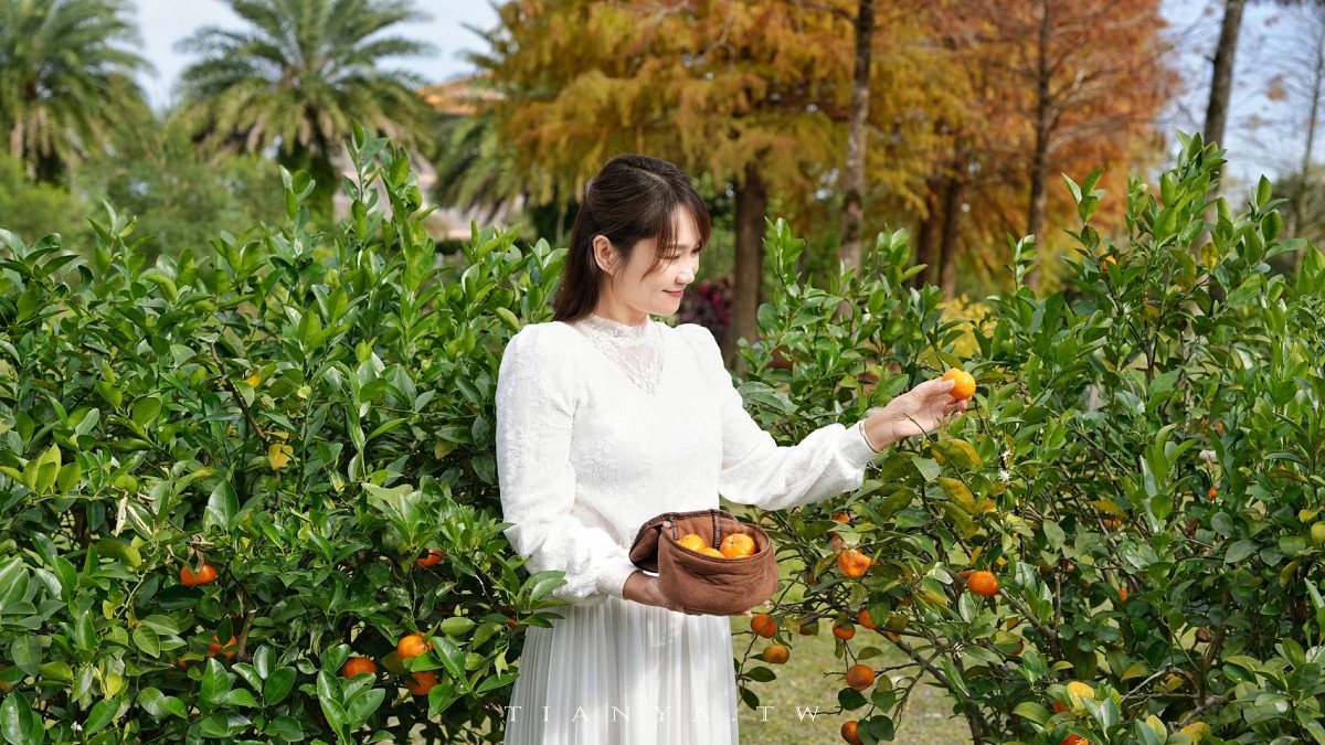 【What’s Up Dough？花莎豆米貝果】獨家風味外脆內軟米貝果，庭院隱藏落羽松秘境景觀