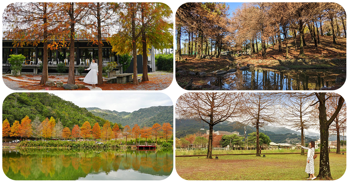 冬季必訪宜蘭5個最美落羽松景點,落羽松大道、落羽松森林、水岸落羽松、落羽松景觀餐廳一次收 冬季必訪宜蘭5個最美落羽松景點,落羽松大道、落羽松森林、水岸落羽松、落羽松景觀餐廳一次收