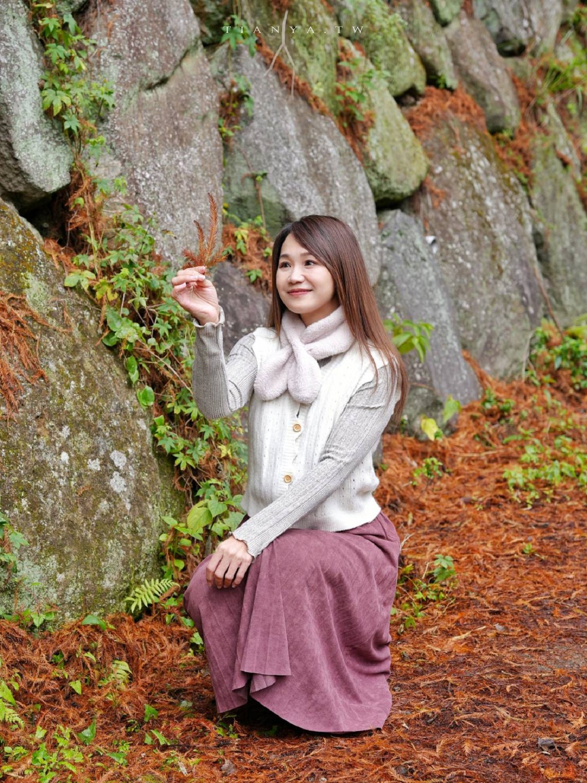 【永公路500巷落羽松】陽明山必訪的台北落羽松秘境，仙氣滿滿 S 型落羽松林徑，搭公車就能抵達