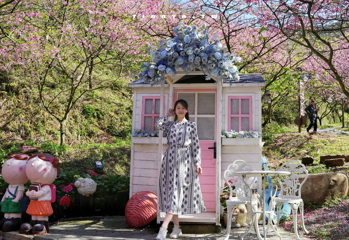 【三峽大熊櫻花林】超過4000株櫻花浪漫盛放，穿梭粉爆櫻花隧道，一秒抵達日本