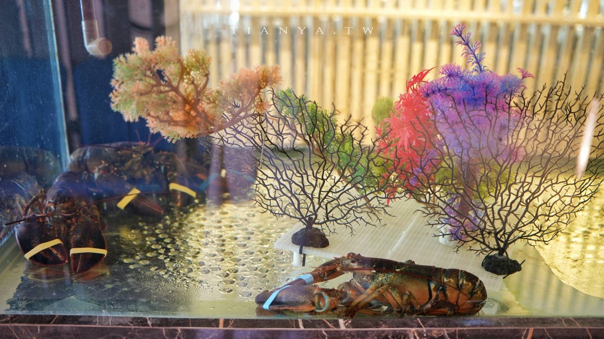 【明水然.樂 淡水店】河景第一排無菜單鐵板燒,活龍蝦、活鮑魚、日本A5和牛14道精緻料理$1600元起,慶生、約會首選 【明水然.樂 淡水店】河景第一排無菜單鐵板燒,活龍蝦、活鮑魚、日本A5和牛14道精緻料理$1600元起,慶生、約會首選