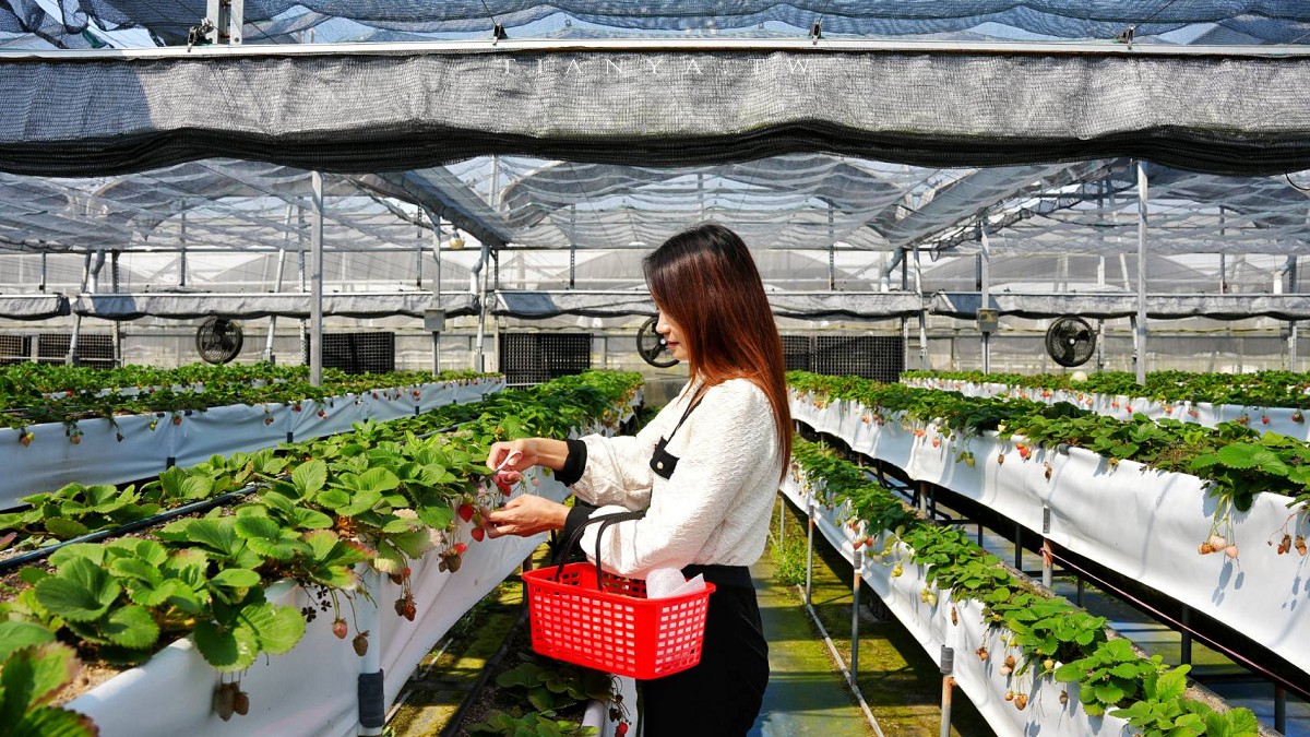 2026苗栗兩天一夜旅遊行程懶人包攻略!網美影城、巧克力莊園、親子樂園、景觀民宿一次玩透透 2026苗栗兩天一夜旅遊行程懶人包攻略!網美影城、巧克力莊園、親子樂園、景觀民宿一次玩透透