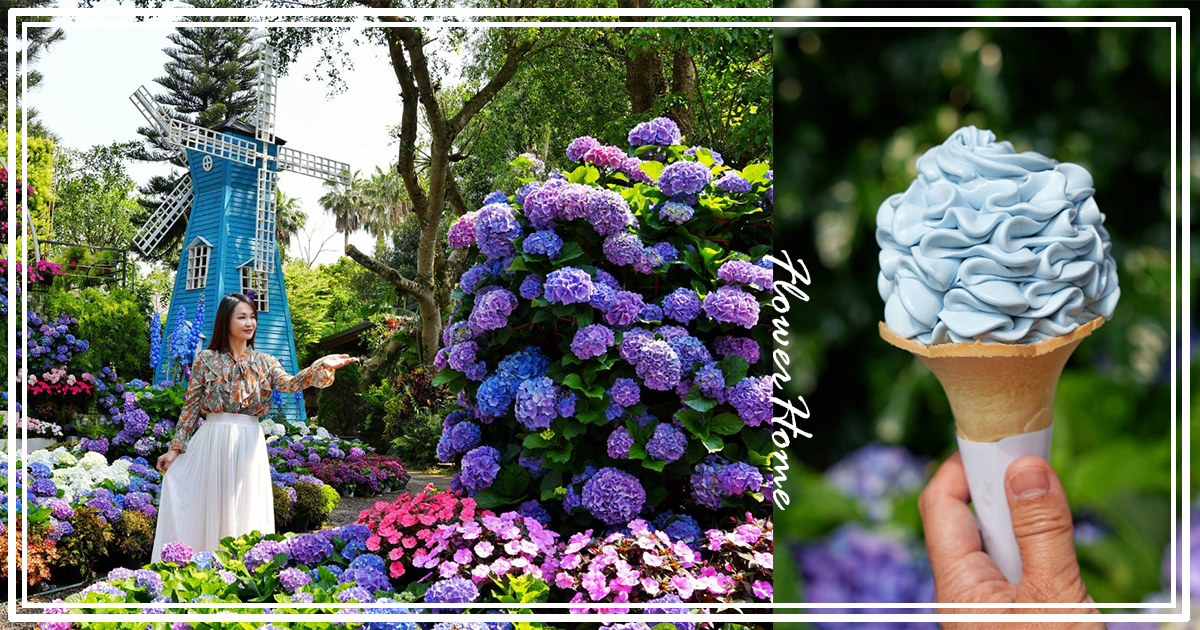 【花露農場】苗栗必訪賞花景點，繡球花季夢幻登場，2萬株花海搭配歐風造景，必嚐繡球花霜淇淋 @下一站，天涯