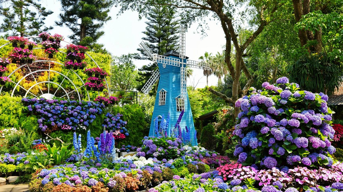 【花露農場】苗栗必訪賞花景點，繡球花季夢幻登場，2萬株花海搭配歐風造景，必嚐繡球花霜淇淋