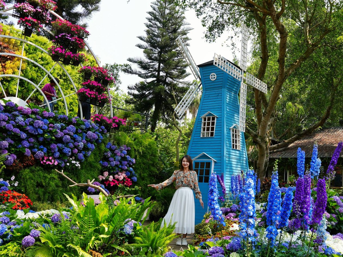 【花露農場】苗栗必訪賞花景點，繡球花季夢幻登場，2萬株花海搭配歐風造景，必嚐繡球花霜淇淋