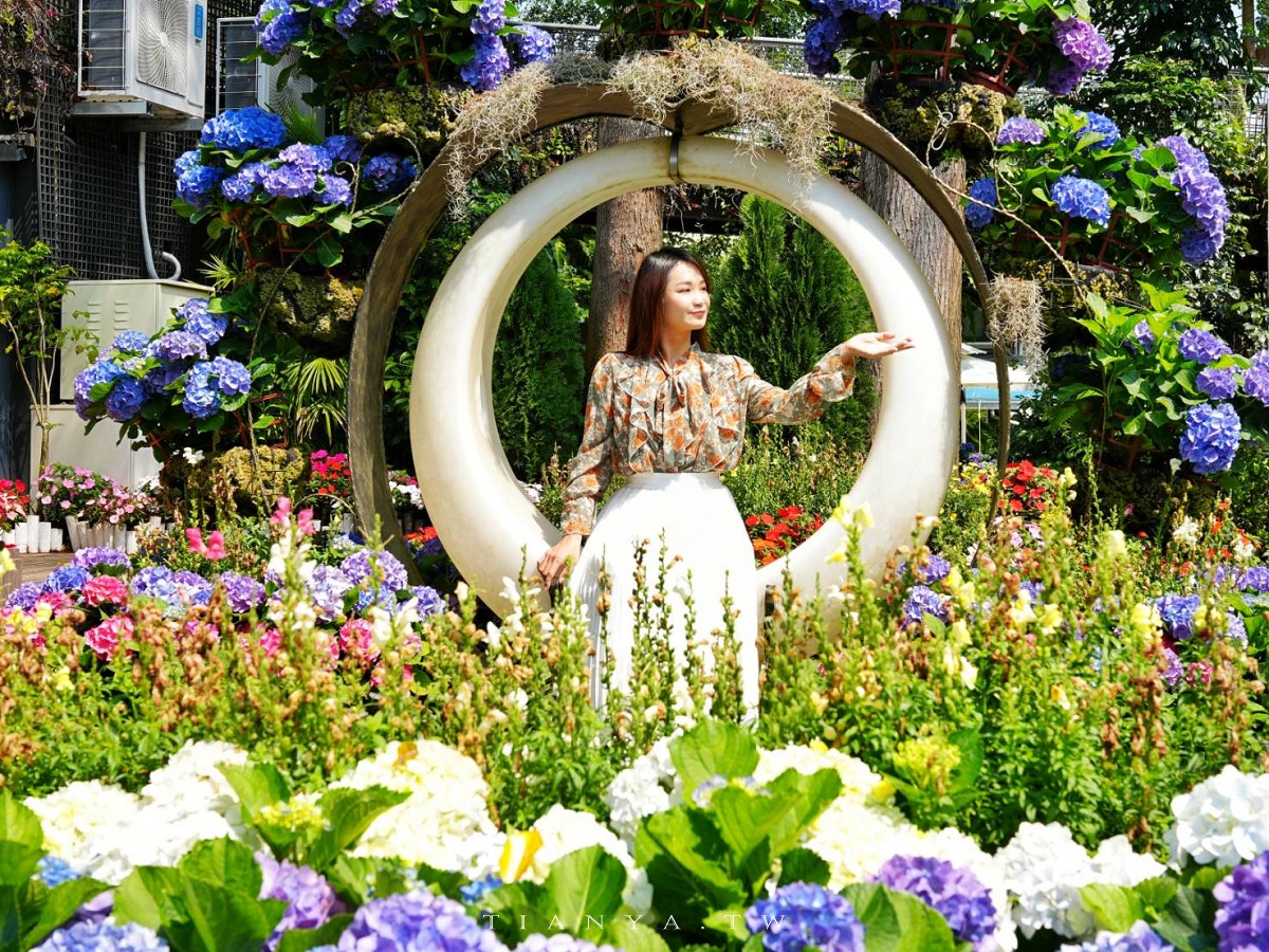 【花露農場】苗栗必訪賞花景點，繡球花季夢幻登場，2萬株花海搭配歐風造景，必嚐繡球花霜淇淋