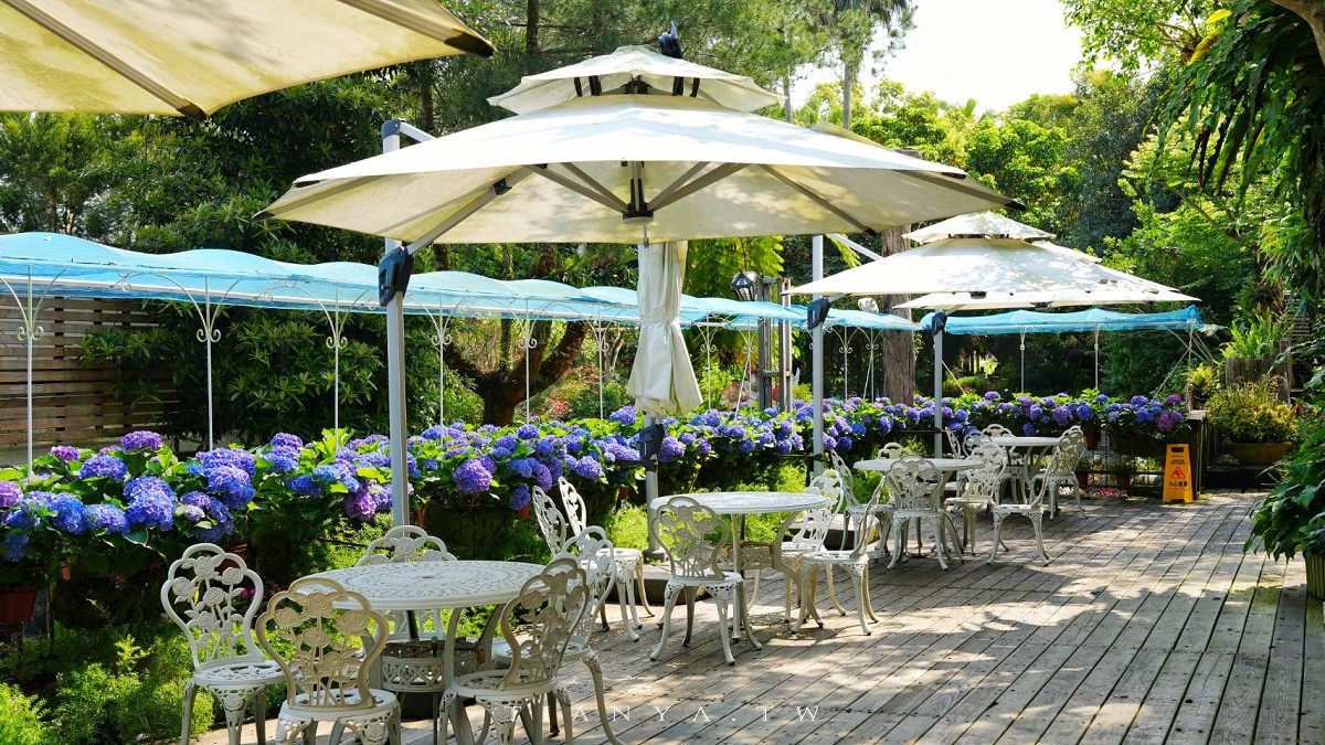 【花露農場】苗栗必訪賞花景點，繡球花季夢幻登場，2萬株花海搭配歐風造景，必嚐繡球花霜淇淋