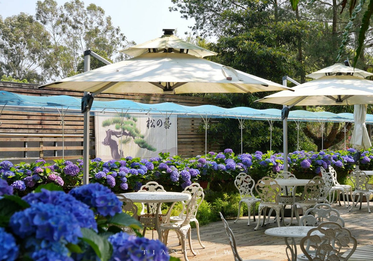 【花露農場】苗栗必訪賞花景點，繡球花季夢幻登場，2萬株花海搭配歐風造景，必嚐繡球花霜淇淋